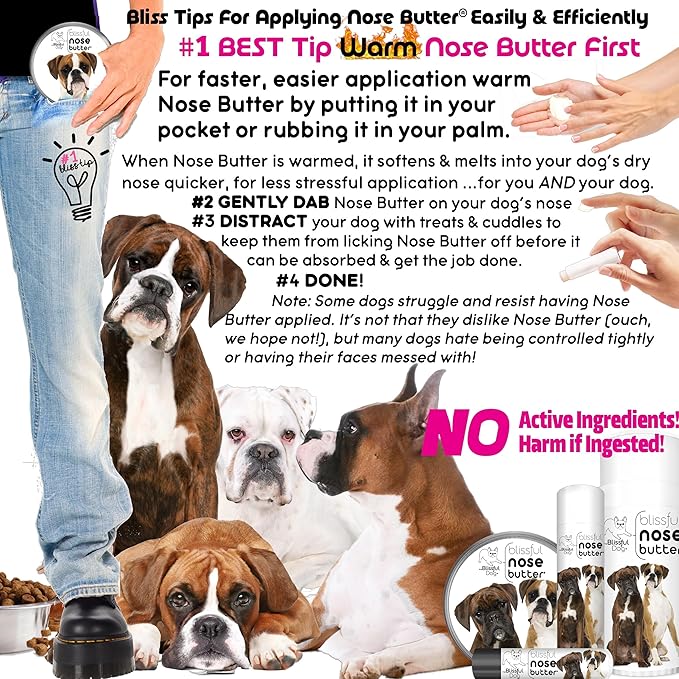 The Blissful Dog Fawn Boxer Nose Butter for Dry, Cracked Skin, Lick-Safe Dog Nose Balm with Moisturizing Shea Butter, Almond, Olive, and Essential Oils, Pet Supplies, Uncented, 0.50 oz.