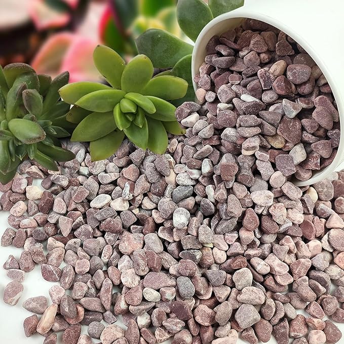 5 lbs Succulent and Cactus Pebbles for Indoor Plants, 3/8 Inch Pea Gravel Decorative Red River Rocks for Plants, Vases, Terrarium, Aquarium, Potted Top Dressing and Outdoor Landscaping Stones