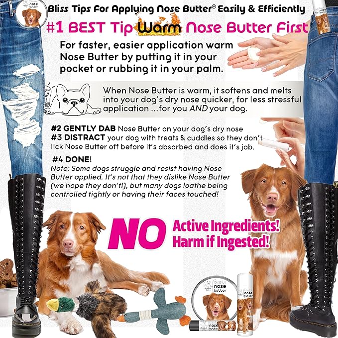 The Blissful Dog Nova Scotia Duck Tolling Retriever Unscented Nose Butter - Dog Nose Butter, 1 Ounce