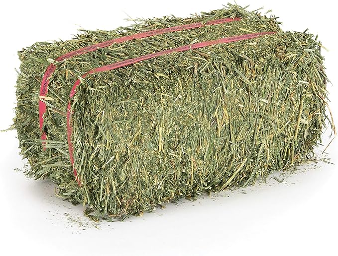Grandpa's Best Alfalfa Hay, 5 lbs
