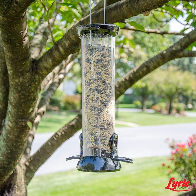 Lyric Wild Bird Mix - Wild Bird Food for Outside Feeders - Attracts Doves, Jays and many more - 40 lb. Bag