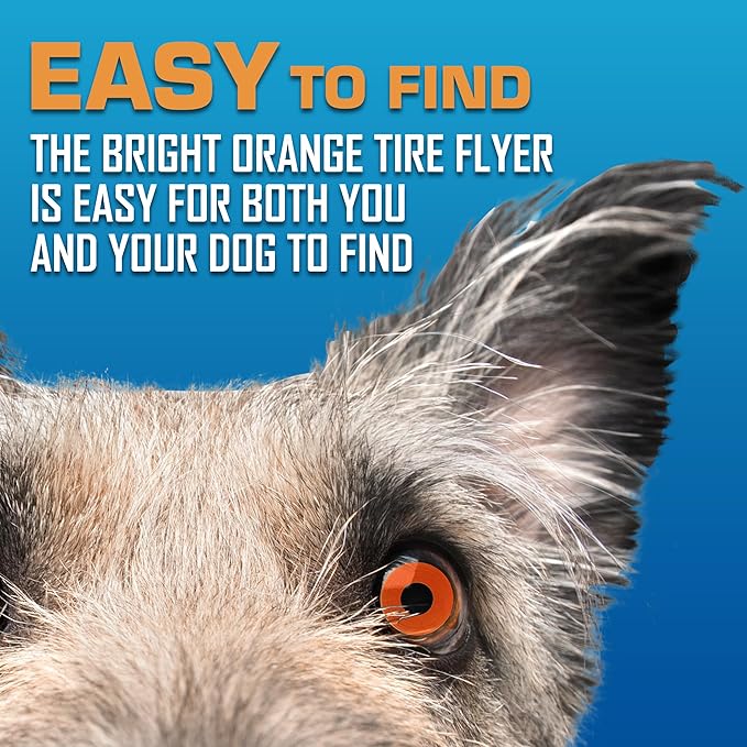 Nerf Dog Atomic Flyer Outdoor Dog Toy, 10 Inch Flying Disc Dog Fetch Toy, Rubber Dog Toy for Medium Dogs and Large Dogs, Orange