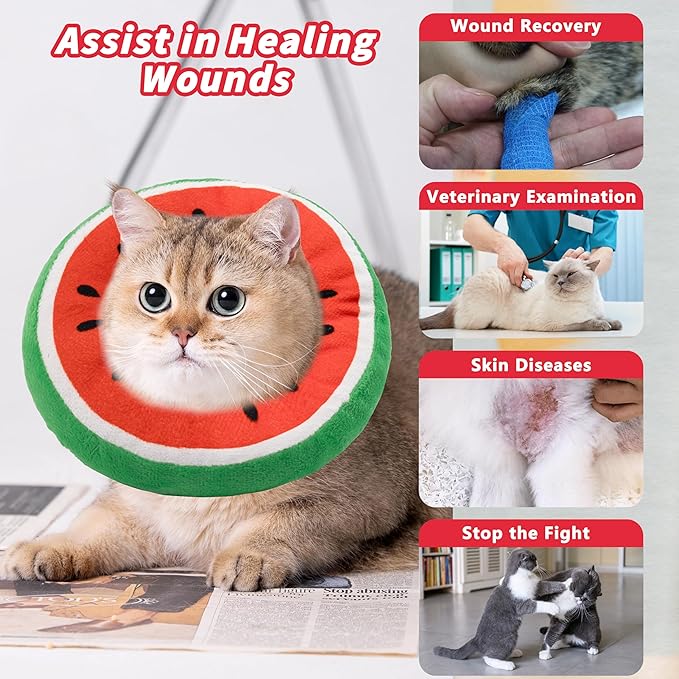 Soft Cat Cone Collar, Cute Cat Recovery Collar Suitable for Small, Medium, Large Cats,Elizabethan Neck Collar for Cats After Surgery (Watermelon, Medium)