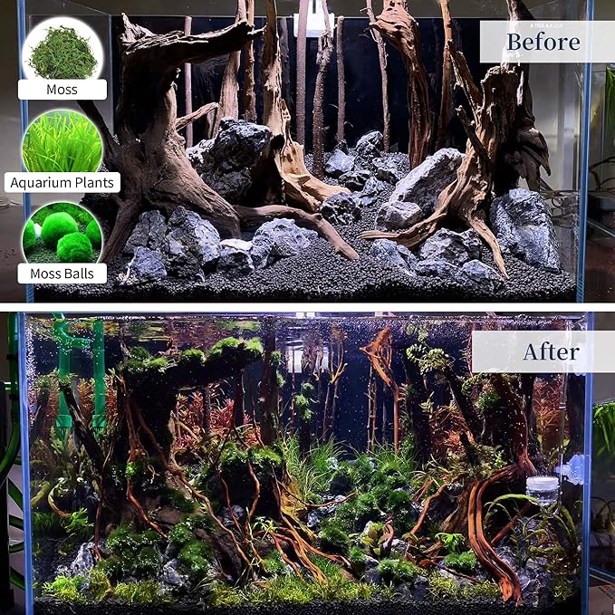 majoywoo Natural Large Driftwood for Aquarium Decor Reptile Decor, Fewer Branches 12.5-18" 2Pcs