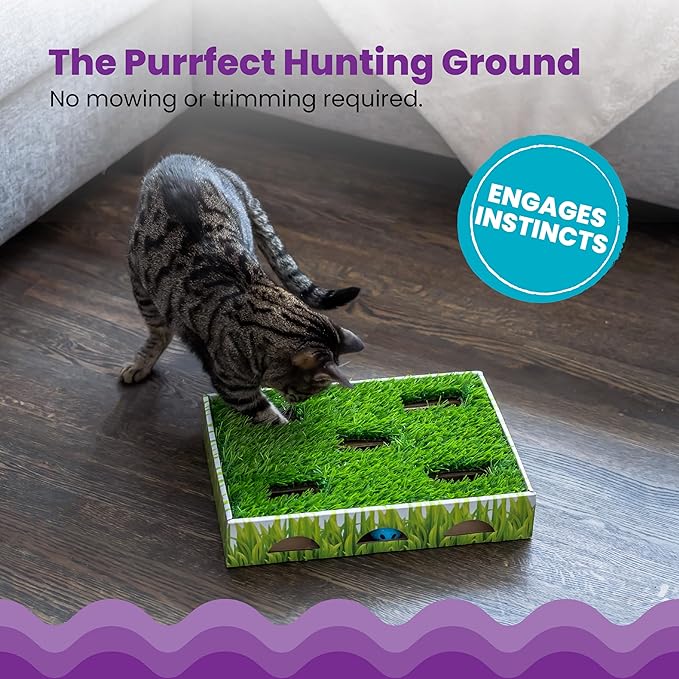 Catstages Grass Patch Hunting Box Interactive Bat & Swat Game for Indoor Cats, 3 Jingle Balls Included, Green