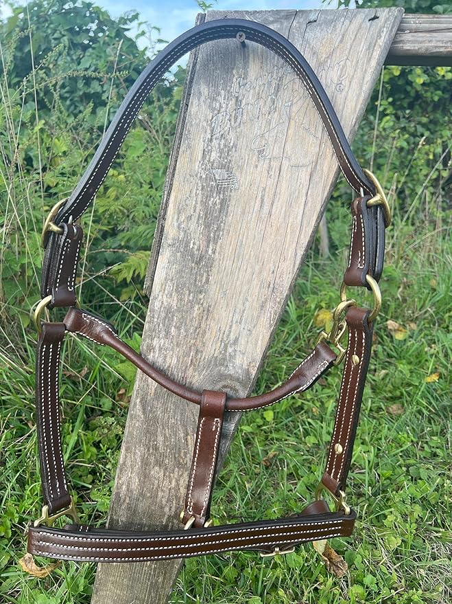 Leaders Leather Halter for Horses with Customized Engraved Name Plate Option Halter for Horse