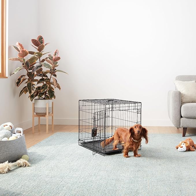 Amazon Basics Durable, Foldable Metal Wire Small Dog Crate with Tray, Single Door, 24 x 18 x 20 in, Black
