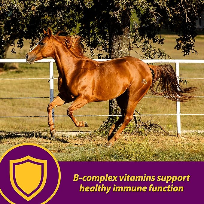 Farnam Horse Health Red Cell Pellets, Vitamin-Iron-Mineral Supplement for Horses, Helps Fill Important Nutritional Gaps in Horse's Diet, 4 lbs., 64-Day Supply