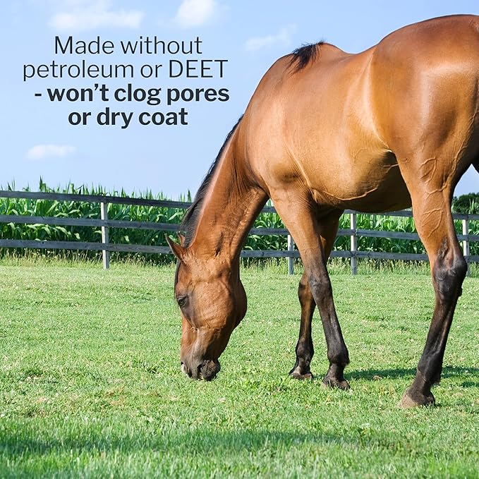 Formula 707 Fly Deny Spray for Horses & Ponies, Sweat-Resistant 14-Day Protection from Flies, Gnats & Mosquitoes, Repels and Kills, 32 Oz
