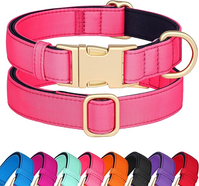 Didog Soft Padded Dog Collars for Small Dogs, Colorful and Durable Dog Collar with Quick Release Buckle, Light and Breathable for Daily Walking, Pink, S