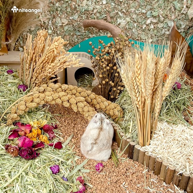Niteangel Natural & Soft Hamster Bedding Mate Small Animal Habitat Decor for Syrian Dwarf Hamsters Gerbils Mice Degus Bunny or Other Small-Sized Pet