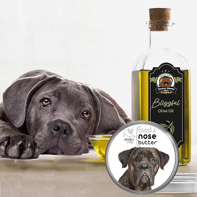 The Blissful Dog Cane Corso Nose Butter for Dry, Cracked Skin, Lick-Safe Dog Nose Balm with Moisturizing Shea Butter, Almond, Olive, and Essential Oils, Pet Supplies, Uncented, 4 oz.