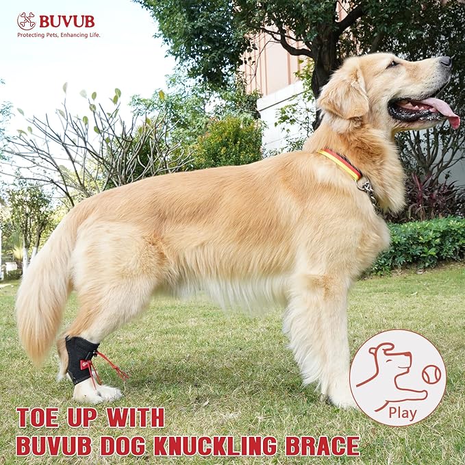 Dog Canine Knuckling Brace Front Paw Rear Leg Dog Foot Brace Wrap for Toe Dragging Cause by Sciatic Nerve Insufficiency, Myelopathy, Herniated Disc (Small,Pair Pack)