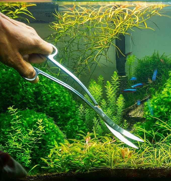 Mandala Crafts Rainbow Stainless Steel Aquascaping Tools Kit – Aquarium Plant Tools with Tweezers and Scissors for Fish Tanks, Hospital Tanks, Goldfish Bowls, Aquariums, and Terrariums
