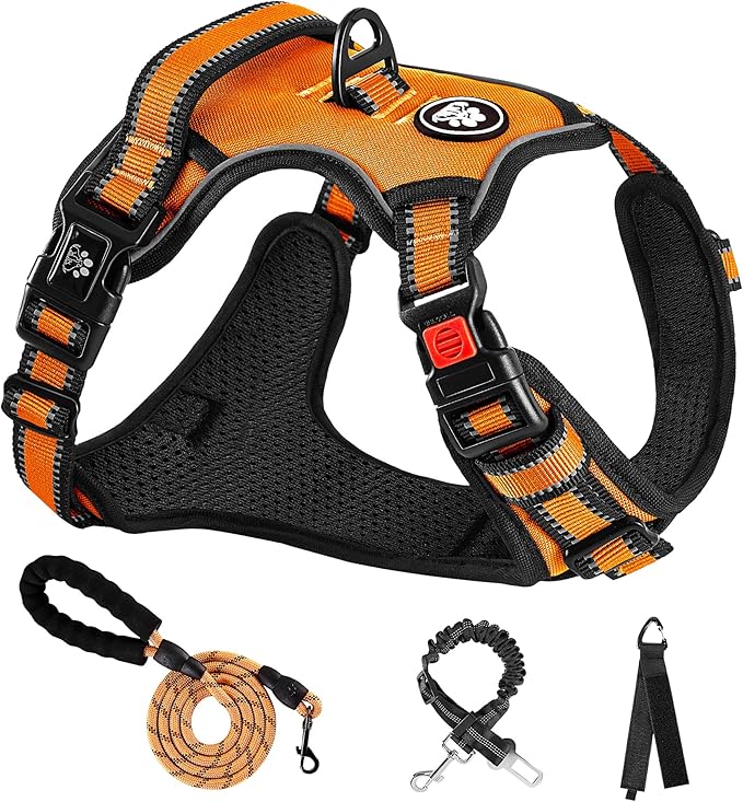 NESTROAD No Pull Dog Harness,Adjustable Oxford Dog Vest Harness with Leash,Reflective No-Choke Pet Harness with Easy Control Soft Handle for Small Medium Dogs(Medium,Orange)