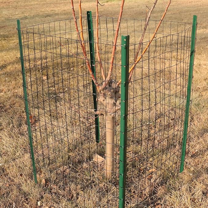 Black PVC Coated Welded Wire Fence 36 Inch x 50 Foot, 2 Inch x 3 Inch 16GA, Garden Border Fencing Roll Vinyl Coating Metal Wire Mesh for Yard Vegetable Plant Protection Poultry Netting