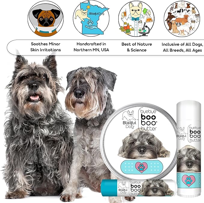 The Blissful Dog Schnauzer Boo Boo Butter, 16 oz.