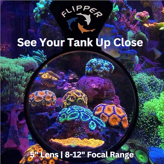 FL!PPER Flipper DeepSee Viewer MAX 5" Black - Coral and Fish Magnifier for Reef Tank and Freshwater Aquarium Photography and Videography - Magnetic Magnifying Glass