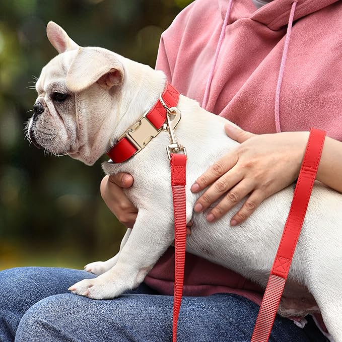 PET ARTIST Soft PU Leather Dog Collar, Bright & Classic Red Dog Collar with Quick Release Rose Metal Buckle, Adjustable Nylon Padded Durable Pet Collars for Small Dogs Girl, Neck Fit 9-14"