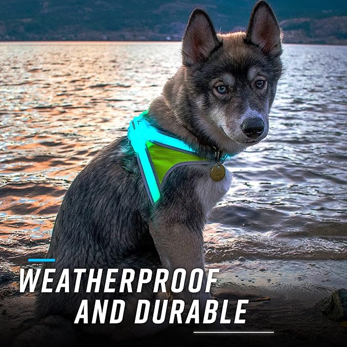 Noxgear LightHound – Revolutionary Illuminated and Reflective Harness for Dogs Including Multicolored LED Fiber Optics (USB Rechargeable, Adjustable, Lightweight, Rainproof) (Small)