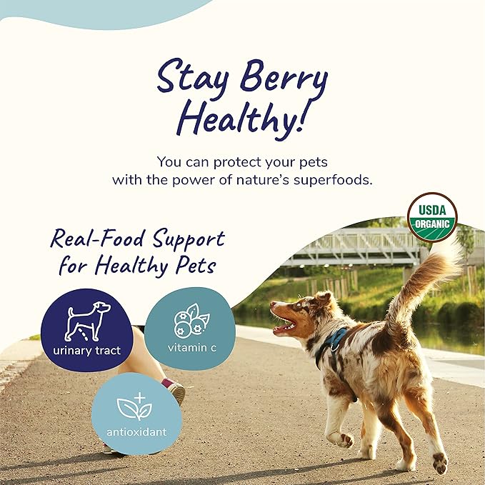 kin+kind Dog Supplement Powder - Supplement for Dogs & Cats for Healthy Immunity - Bladder Support - Natural Formula with Organic Cranberry, Blueberry and Coconut - Made in USA - Bundle (3 x 8 oz)
