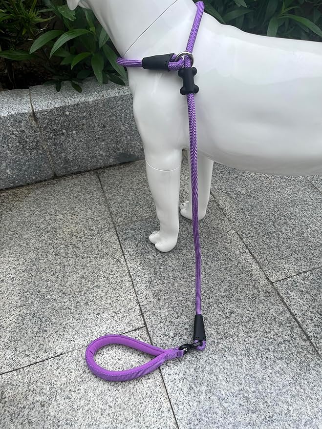 Slip Lead Dog Leash，Strong Nylon Rope Leash and Padded Handle,No Pull Outdoor Walking Training Lead for Small Medium Large Dogs(Purple,1/2"×4ft)