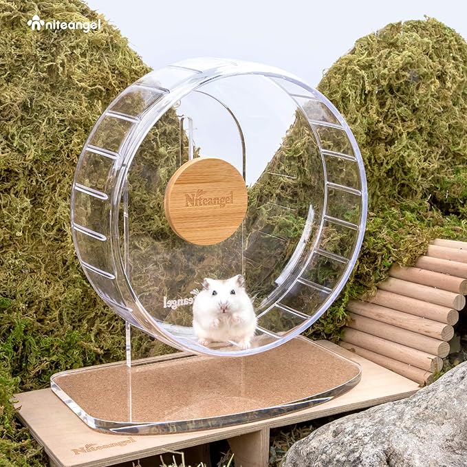 Niteangel Super-Silent Hamster Exercise Wheels: - Quiet Spinner Hamster Running Wheels with Adjustable Stand for Hamsters Gerbils Mice Or Other Small Animals (S, Transparent)
