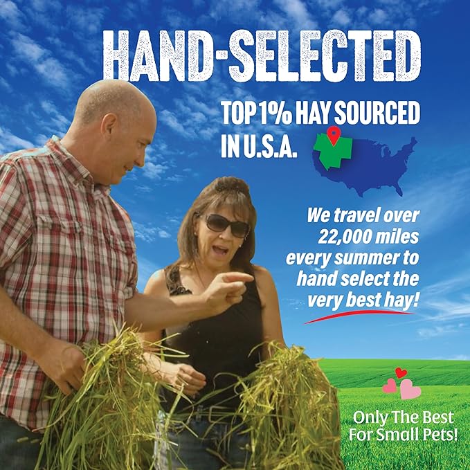 Small Pet Select 1st Cutting Timothy Hay, Animal Food for Guinea Pig, Rabbit, Hamster, Bunny, or Chinchilla, Natural Hay Grown in the USA, 5lb