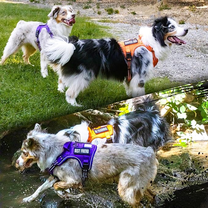 rabbitgoo Tactical Dog Harness for Large Dogs, No Pull Military Service Vest with Handle & Molle, Easy Control for Training Walking, Adjustable Reflective Straps, Purple, XL