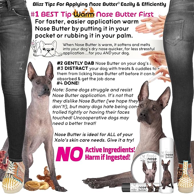 The Blissful Dog Xoloitzcuintli Nose Butter for Dry, Cracked Skin, Lick-Safe Dog Nose Balm with Moisturizing Shea Butter, Almond, Olive, and Essential Oils, Pet Supplies, Uncented, 0.50 oz.