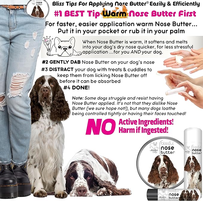 The Blissful Dog Springer Spaniel Nose Butter, Versatile Dog Nose Balm for Dry Nose, Handcrafted Nose Moisturizer, Easy-to-Apply Dog Essentials, Unscented, 1 oz.