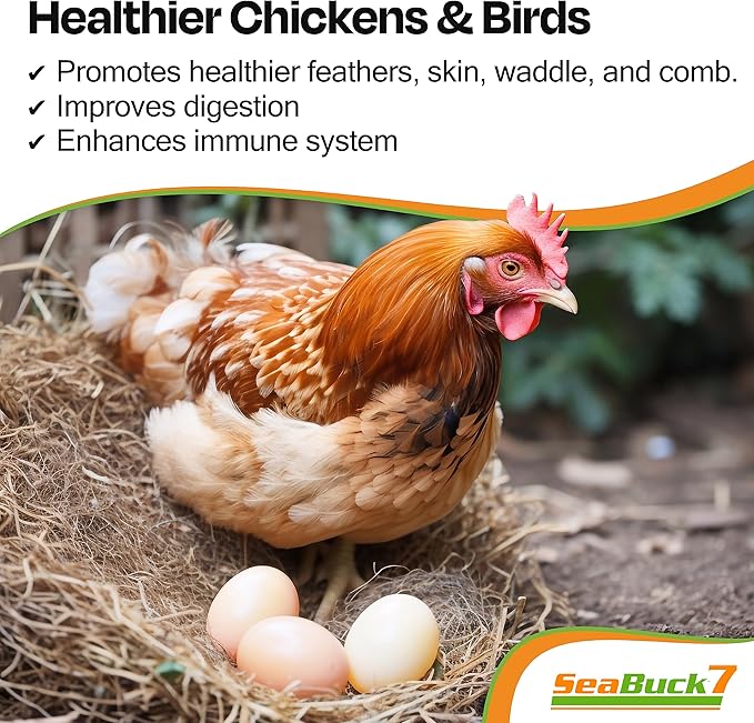 SeaBuck 7 Chicken & Bird Supplement with Sea Buckthorn to Improve Egg Quality (1-Month Supply for 20 Chickens) – Earlier Laying, Egg Production Booster & Higher Quality Eggs