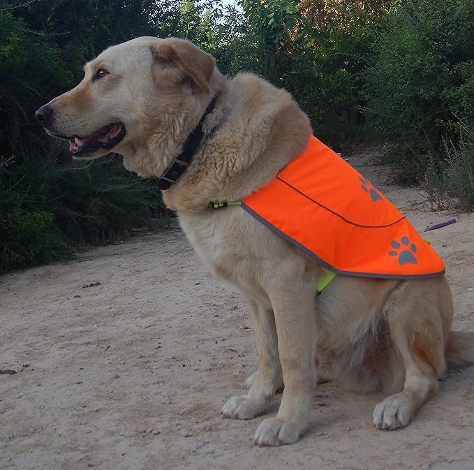 Dog Reflective Vest - Comfortable Jacket Safety Hunting, High Visibility for Dogs with Elastic Straps and Clasp Closure- Yellow, X-Small