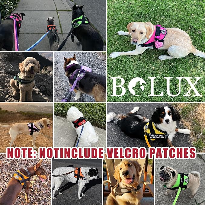 Bolux Dog Harness, No-Pull Reflective Dog Vest, Breathable Adjustable Pet Harness with Handle for Outdoor Walking - No More Pulling, Tugging or Choking (Flag, Large)