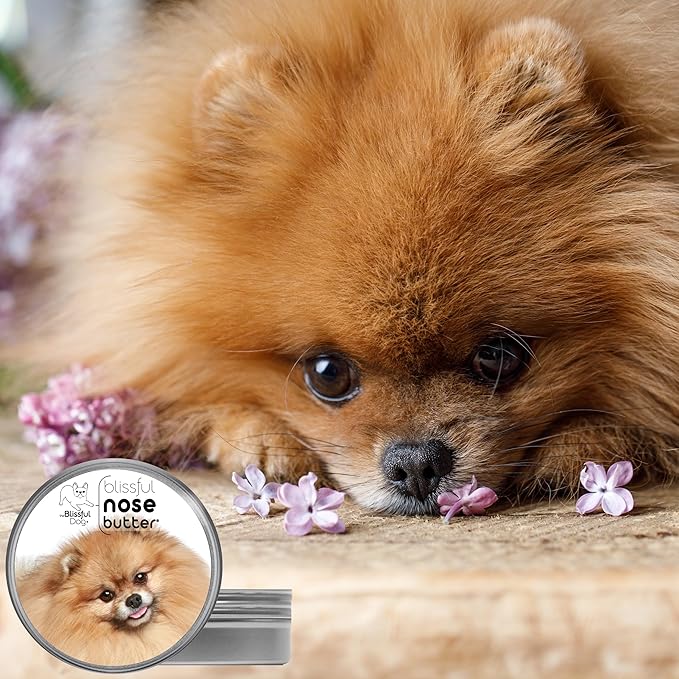 The Blissful Dog Pomeranian Nose Butter for Dry, Cracked Skin, Lick-Safe Dog Nose Balm with Moisturizing Shea Butter, Almond, Olive, and Essential Oils, Pet Supplies, Uncented, 8 oz.