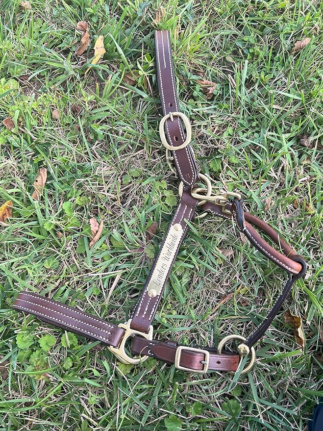 Leaders Leather Halter for Horses with Customized Engraved Name Plate Option Halter for Horse