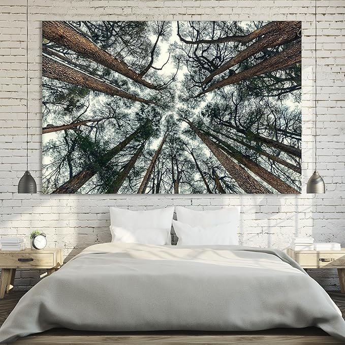 Nature Wall Art Prints - Ocean Forest Mountain Lake Canvas Landscapes - Small to Extra Large Living Room Bedroom Kitchen Bathroom Décor (Trees and Sky, 16L" x 24W")