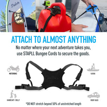 Load image into Gallery viewer, Tack Strap - 2 Pack