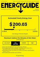 Load image into Gallery viewer, Camplux Elite 65,000 BTU RV Tankless Water Heater 2.64 GPM-Black