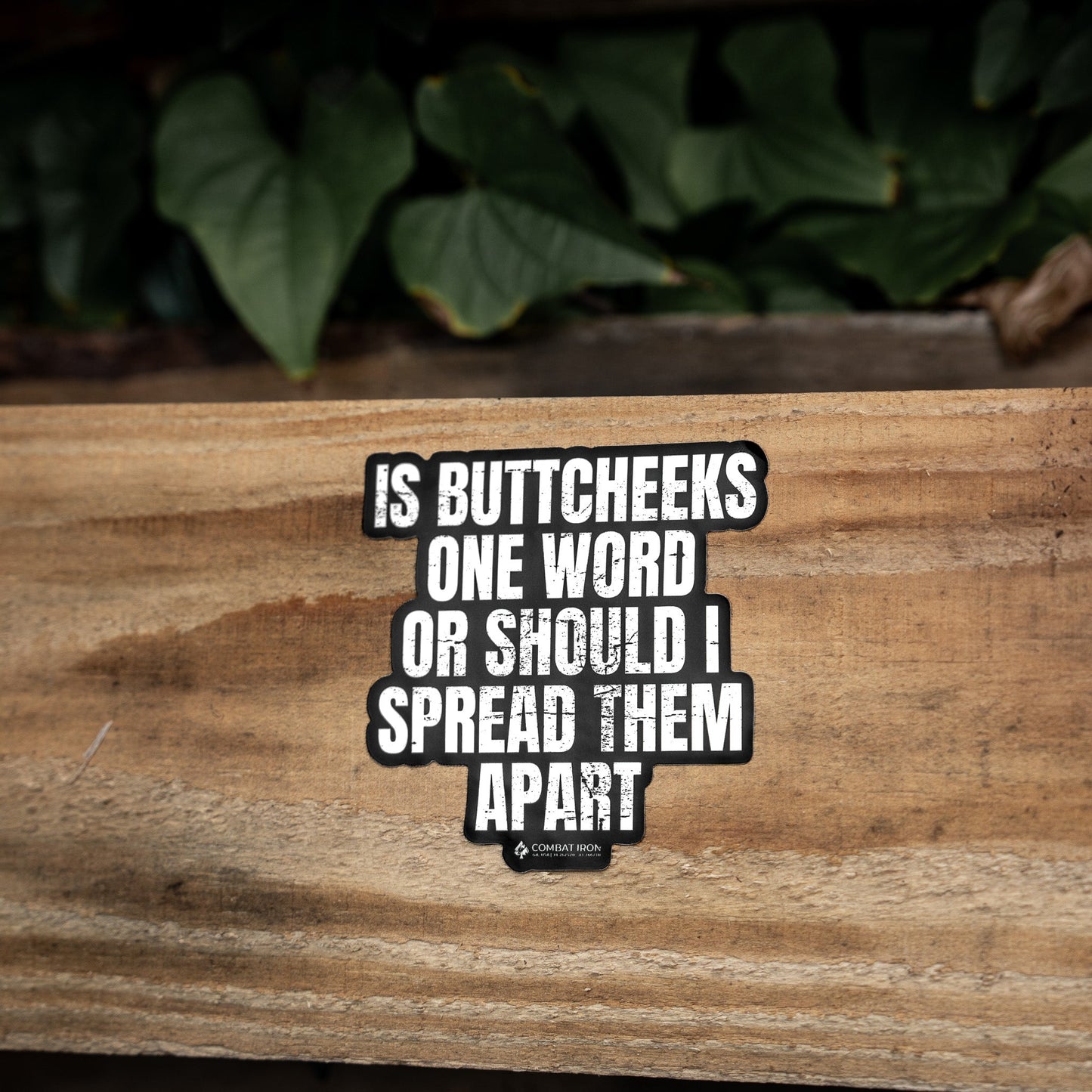 Is Buttcheeks One Word Or Should I Spread Them Apart Decal