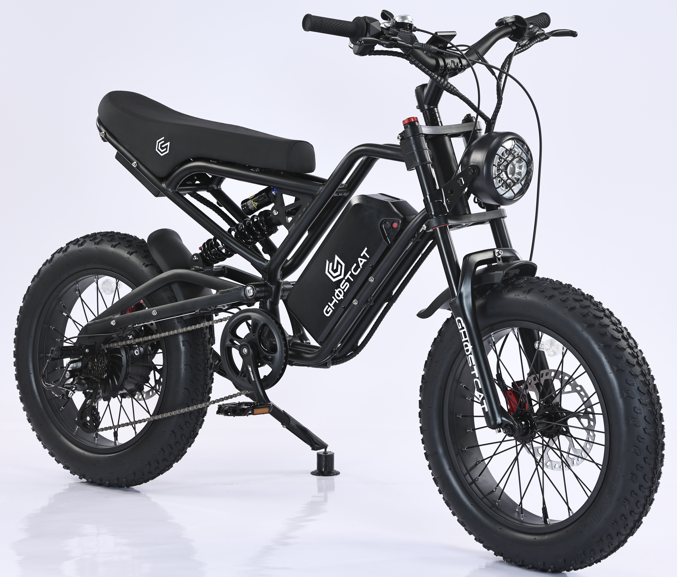 GhostCat F3X - Class II