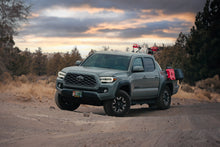 Load image into Gallery viewer, 6x7" MOLLE Panel