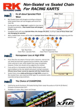 Load image into Gallery viewer, 219 RK Non-Sealed Chain | Primary Belt to Chain Conversion Kit | E Ride Pro 2.0