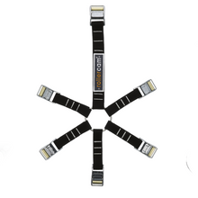 Load image into Gallery viewer, The Spider Kit