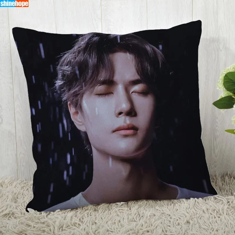 Custom Pillow Cover – YiBo Wang Modern Decorative 45x45cm Pillowcase