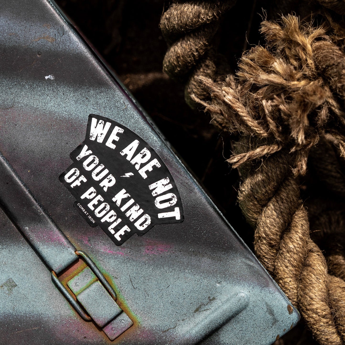 We Are Not Your Kind Of People Decal
