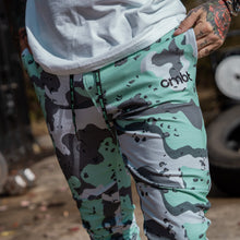 Load image into Gallery viewer, Men's Dynamic Performance Training Joggers 2.0