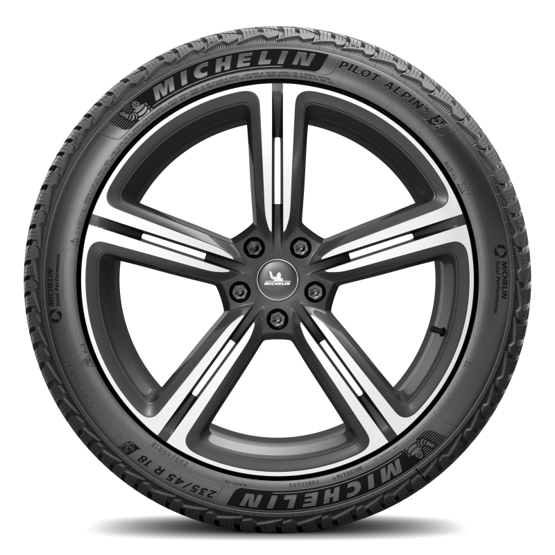 Michelin Pilot Alpin 5 295/35R19 104V XL