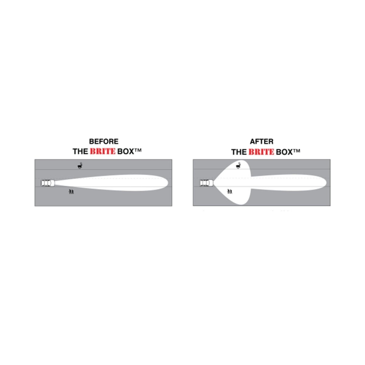 The Brite Box High Beam Fog Light Mod for 2021-2024 4Runner