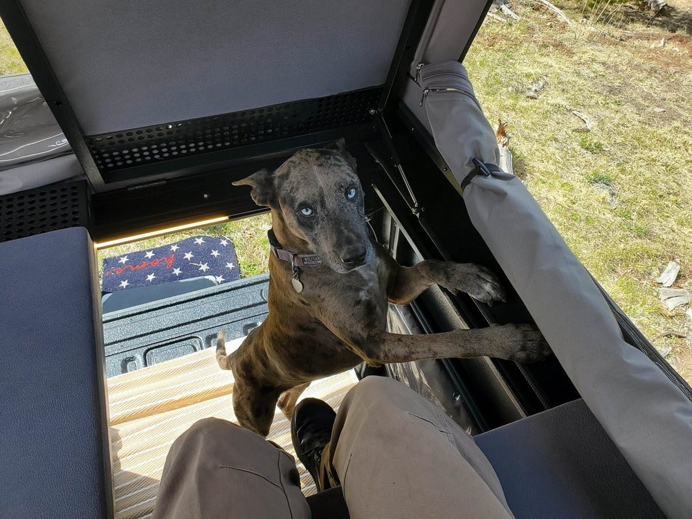 GAIA Campers Ford F150 Camper - 2015+ (Downpayment)